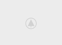 wood-gallery-placeholder