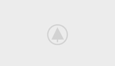 wood-portfolio-placeholder