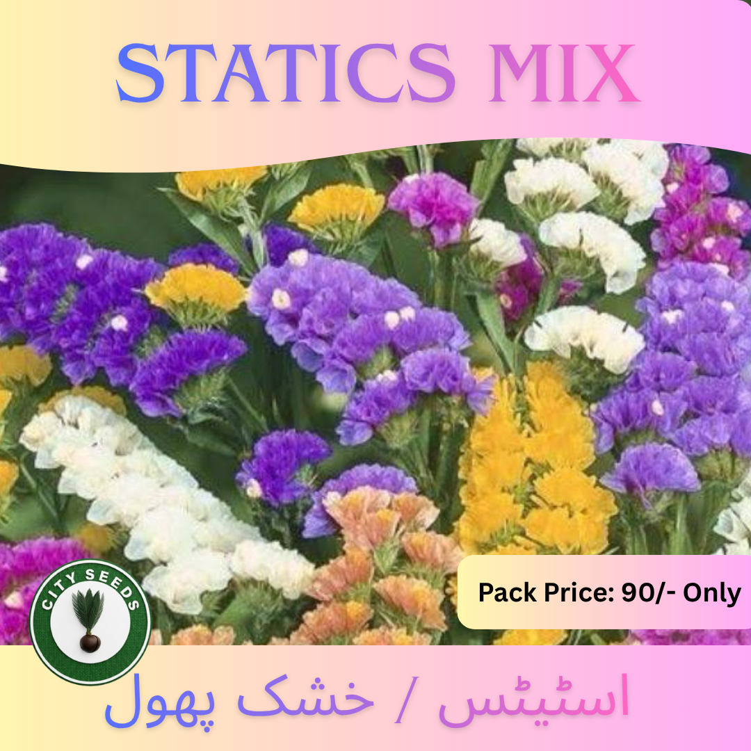 Flowers (48)