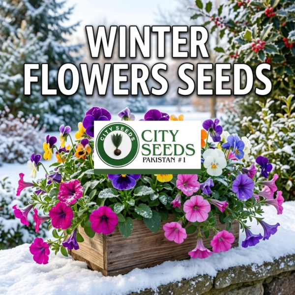Winter Flowers Seeds