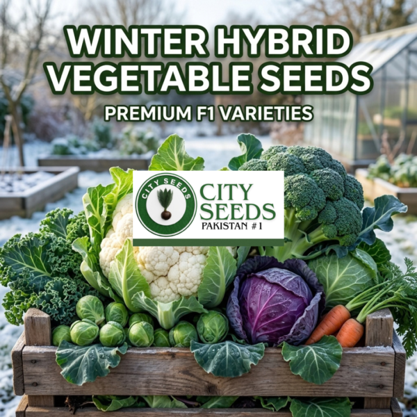 Winter Vegetable Hybrid Seeds