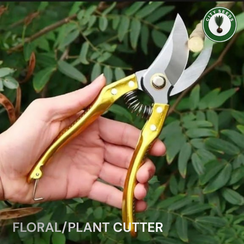 Multicolor Handle Professional Floral Plant Pruner Ergonomic Garden Scissor