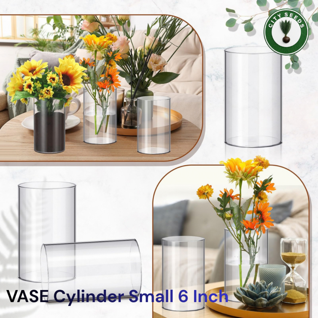 6-Inch Clear Glass Cylinder Vase for Small Bouquets Table Centerpieces