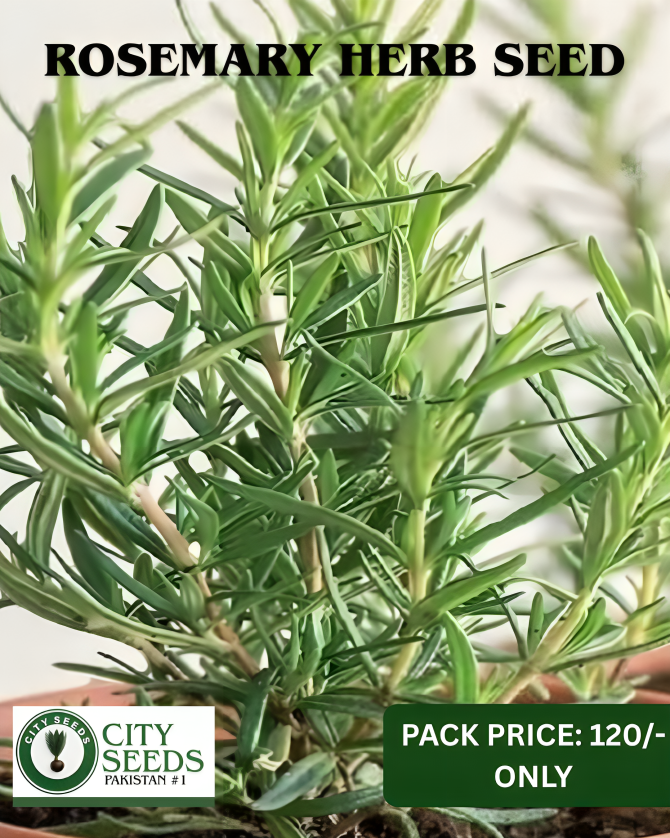 Herbs (7)